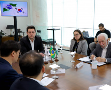 Reunião celepar e corea