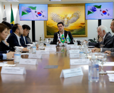 Reunião celepar e corea