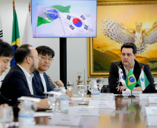 Reunião celepar e corea