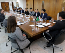 Reunião celepar e corea