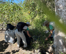 2º mutirão de limpeza de manguezais organizado pela Portos do Paraná retira quase 2,5 toneladas do entorno de Antonina