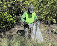 2º mutirão de limpeza de manguezais organizado pela Portos do Paraná retira quase 2,5 toneladas do entorno de Antonina