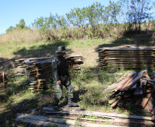 Polícia Militar apreende mais de 490 metros cúbicos de madeira ilegal durante operação