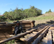 Polícia Militar apreende mais de 490 metros cúbicos de madeira ilegal durante operação