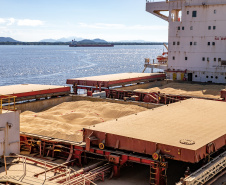 Corredor Leste de Exportação do Porto de Paranaguá embarca maior volume mensal já registrado