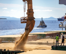 Corredor Leste de Exportação do Porto de Paranaguá embarca maior volume mensal já registrado