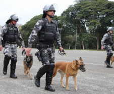 Comando de Missões Especiais da PM comemora primeiro ano de atuação no Paraná