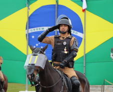 Unidade mais antiga da Polícia Militar, Regimento de Polícia Montada completa 144 anos