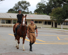 Unidade mais antiga da Polícia Militar, Regimento de Polícia Montada completa 144 anos