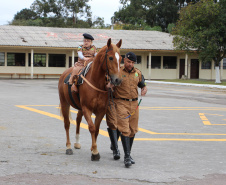 Unidade mais antiga da Polícia Militar, Regimento de Polícia Montada completa 144 anos