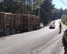 Receita Estadual emitiu neste ano 1.705 autos de infração para recuperar R$ 666,2 milhões 