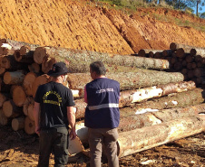 Receita Estadual emitiu neste ano 1.705 autos de infração para recuperar R$ 666,2 milhões 