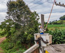 Paraná Trifásico entrega 12,5 mil km de novas redes e alcança 50% do programado