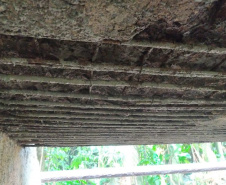 Reforma de pontes na PR-411 em Morretes