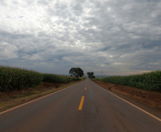 PR-546 Floresta e Itambé