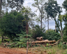 Fiscais do Instituto Água e Terra (IAT) detectaram 245,42 hectares de vegetação nativa retirada ilegalmente e emitiram 167 Autos de Infração Ambiental no Sudoeste do Paraná