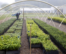 Paraná ativa Fórum de Mudanças Climáticas e abre consulta para política sobre biodiversidade