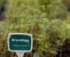 Paraná ativa Fórum de Mudanças Climáticas e abre consulta para política sobre biodiversidade