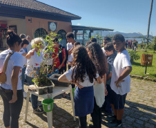  Alunos ajudaram a recolher mais de 2 toneladas de resíduos