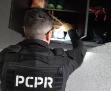 PCPR e PRF deflagram operação contra associação ligada a roubos de carga, na Grande Curitiba