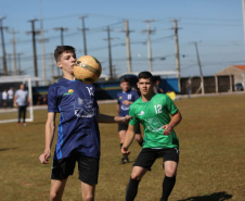 Copa Coamao