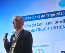 No Fórum Nacional de Trigo, governo estadual defende ciência e inovação para avanço  do agro