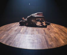 Toledo, Cascavel e Foz recebem projeção de videodança aprovada no Profice