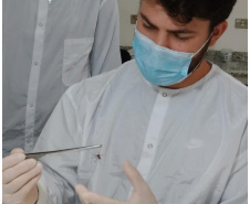 Captura de aranha-marrom garante produção de soro antiloxoscélico no Paraná 