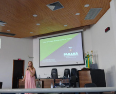 Estado capacita equipes multiprofissionais para a assistência pré-natal das gestantes