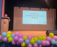 Estado capacita equipes multiprofissionais para a assistência pré-natal das gestantes