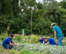 COLÉGIO AGRÍCOLA