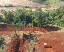 Paraná foi o estado do País que mais reduziu o desmatamento ilegal da Mata Atlântica com queda de 54%.