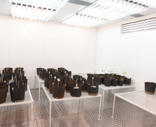 UENP instala equipamento de cultivo controlado de plantas para auxiliar em pesquisas