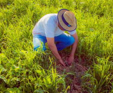 Fazenda Escola da UEPG reduz emissão de 400 toneladas de carbono por safra