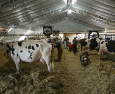 Instituto Água e Terra concedeu a Licença Ambiental de Operação que permite o início da construção de uma nova sede da Frísia Cooperativa Agroindustrial em Ponta Grossa