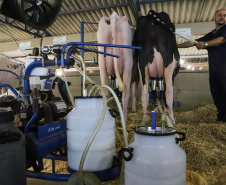 Instituto Água e Terra concedeu a Licença Ambiental de Operação que permite o início da construção de uma nova sede da Frísia Cooperativa Agroindustrial em Ponta Grossa