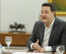 PROJETO FALCÃO