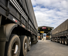 Porto de Paranaguá recebe quase 2.500 caminhões de grãos e farelo em 24 horas