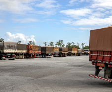 Porto de Paranaguá recebe quase 2.500 caminhões de grãos e farelo em 24 horas