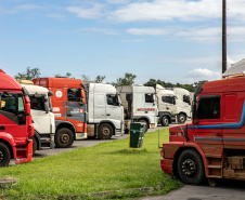 Porto de Paranaguá recebe quase 2.500 caminhões de grãos e farelo em 24 horas