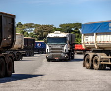 Porto de Paranaguá recebe quase 2.500 caminhões de grãos e farelo em 24 horas