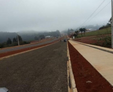 pitanga