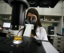 Capes autoriza mais seis doutorado nas universidades estaduais do Paraná