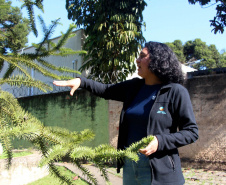  A engenheira Florestal Vitória Fonseca, de 25 anos, trocou o Amapá por uma experiência profissional no Instituto Água e Terra (IAT).