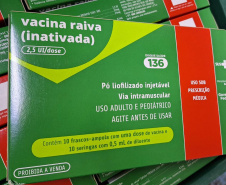  No mês de combate às zoonoses, Sesa esclarece sobre a raiva e protocolo em caso de acidente 