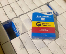Paraná é o primeiro Estado a oferecer gratuitamente o medicamento para tratar animais com esporotricose