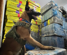 Polícia Militar apreende quase quatro toneladas de drogas em Pato Bragado