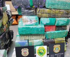 Ação integrada apreende uma tonelada de drogas em Santa Helena