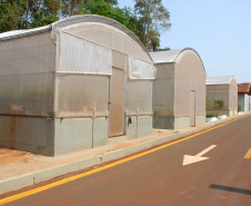No dia da ciência e do pesquisador, IDR- Paraná enaltece conquistas