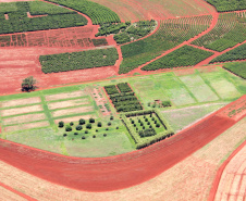 No dia da ciência e do pesquisador, IDR- Paraná enaltece conquistas